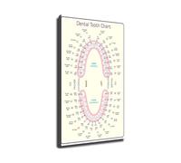 Dental Clinic Decor Tooth Numbering Chart Poster Universal Numbering System ADA FDI Notation Canvas Wall Art Print for Office(Framed,16X24inch(40X60cm))