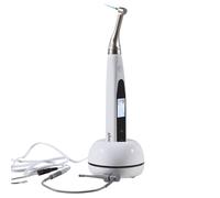 Dental Cordless Mini Endo Motor 16:1 Built in Apex Locator /10lime rotanti Niti