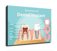 Dental Education Poster Tooth Structure Guide Modern Minimalist Wall Art Canvas Print for Dentist Office Home Decor