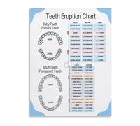 Dental Student Gift Tooth Anatomy Chart Canvas Poster Educational Wall Art for Dentist Office Decor Clinic or Study Room(Framed,12x18inch(30x45cm))