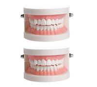 dentale dentale 1pc di plastica di dimostrazione di