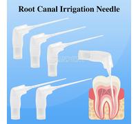 Dentale Double Hole Endo Irrigation Tip Plastic Root Canal Flushing Head Needle