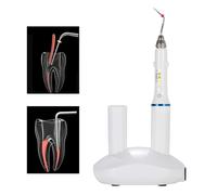 Dentale Endodontic Otturazione System GuttaPercha Obturation Pen Cordless 4 Tips