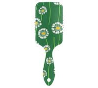 Dente di leone erba verde spazzola per capelli amichevole per le donne Progettato massaggiatore del cuoio capelluto per tutti i tipi di capelli con manico ergonomico cepillo para cabello de mujer