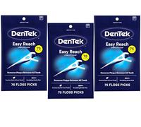 DenTek, set completo di 75 plettri per filo interdentale, confezione da 3, 225 pezzi