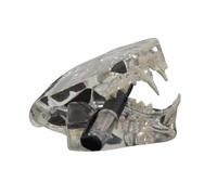 Denti per animali domestici Modello anatomico Gatti per cani Pino Dentali Modello Denti Chiari Pedagogia veterinaria Strumento Educazione Orale Chiaro Fornitura anatomica degli animali