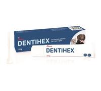 Dentihex gel dentale adesivo per cani e gatti 20 g
