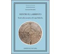 Dentro il labirinto. Studi sulla narrativa di Luigi Malerba