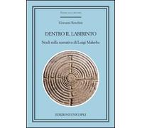 Dentro il labirinto. Studi sulla narrativa di Luigi Malerba