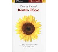 Dentro il sole. La stella che rende possibile la vita sulla terra