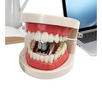 Denture Shaped Stapler - Hilarious Portable Creative Model Office | | Premium Denture Shaped Stapler Hilarious Portable Creative Denture Model Novelty Desk Accessory Gag Gift Office Supply