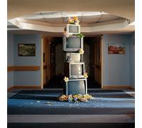 Denude A murmuration of capitalist bees (Vinyl LP) 12" Album