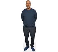 Denzel Washington (Trainers) mini formato