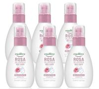 Deo-Vapo Rosa Ialuronica, Deodorante Spray Adatto per Pelli Sensibili, Deodorante 24H con Complesso Anti-odore, a Base di Rosa e Acido Ialuronico, 75ml Confezione da 3 o 6 (75 ml (Confezione da 6))