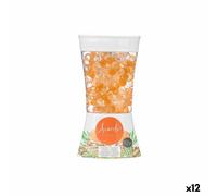 Deodorante per Ambienti Acorde Arancio Zenzero 150 g Gel [12 Unità]