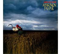 Depeche Mode A Broken Frame (Vinyl LP) 12" Album