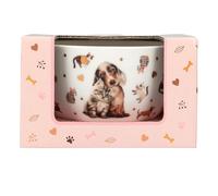 Depesche 13867 TOPModel Fur ever Friends - ciotola per cereali in bianco, con motivo di modelle, cani, gatti e oro, ciotola con scritta "Happy Day" all'interno