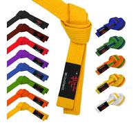 DEPICE Cintura da Combattimento, Unisex Adulto, Colore: Arancione, 300 cm x 13 cm