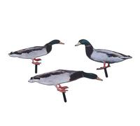 Depisuta Passa da Giardino delle Anatre, Pali di Cortile di Anatra Acrilico in 3D Resistenti Al Tempo 3D con una Facile Installazione per la Decorazione del Giardino da (KLU072A+B+C.)