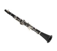 Depisuta Set Clarinetto in Sib, 17strumi per Clarinetto Piatto in Sib con Custodia Rigida e Pananno per Pulizia Antia Nero per Principi per Studente Bandscolastica Orchestra (BLACK)