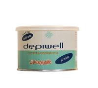 DEPIWELL CERETTA MIELE LIPOSOLUBILE 400 ML
