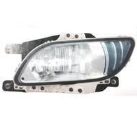 68425 Fendinebbia Sx Sinistro per Daf 2014/07>