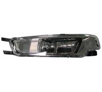 Faro Fendinebbia Anteriore per Volkswagen Passat 2014 Sinistro