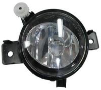 Depo Auto Parts Fendinebbia anteriore sinistro H11 per BMW X5 E70 2010-2013