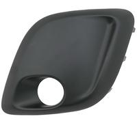 DEPO RICAM E00178S GRIGLIA FENDINEBBIA PER C1 LATO SINISTRO (LATO CONDUCENTE) DAL 2005/06 AL 2014/05