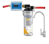 DEPURATORE ACQUA EVERPURE AC2 CON TESTA QL1 CONTALITRI e RUBINETTO