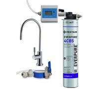 Depuratore Acqua Filtro Everpure 4CB5, Testata QL1, Contalitri, Rubinetto