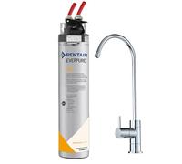 Depuratore Acqua Sottolavello Everpure 4C2 Professionale - Microfiltrazione Acqua 0,2 Micron con Carboni Attivi e AgION® - Filtro Acqua Anti Cloro Odori Sedimenti - Kit Everpure con Rubinetto 1 Via