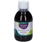 Erba Vita Depuratum concentrato 250 ml