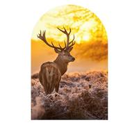 DEQORI Carta da parati da parete ad arco rotondo, autoadesiva, 120 x 180 cm, motivo cervo al mattino d'inverno, tela tessile, rimovibile, decorativa e indeformabile, per soggiorno, ufficio, corridoio