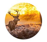 DEQORI Carta da parati rotonda autoadesiva Ø 80 cm | motivo cervo al mattino d'inverno | tela tessile - staccabile, decorativa e indeformabile - per soggiorno, ufficio, corridoio o cameretta dei