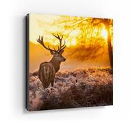 DEQORI Cassetta portachiavi con stampa UV | motivo cervo al mattino d'inverno | scatola di design ca. 30 x 30 cm | Cassetta portachiavi piatta e moderna con motivo stampato | Scatola da parete per