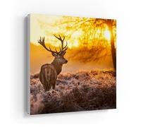 DEQORI Cassetta portachiavi con stampa UV | motivo cervo al mattino d'inverno | scatola di design ca. 30 x 30 cm | Cassetta portachiavi piatta e moderna con motivo stampato | Scatola da parete per