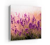DEQORI Cassetta portachiavi con stampa UV | motivo fiori di lavanda sotto la pioggia | scatola di design ca. 30 x 30 cm | Cassetta portachiavi piatta e moderna con motivo stampato | Scatola da parete
