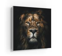 DEQORI Cassetta portachiavi con stampa UV, motivo "Il re in ombra" | scatola di design ca. 30 x 30 cm | Cassetta portachiavi piatta e moderna con motivo stampato | Scatola da parete per corridoio