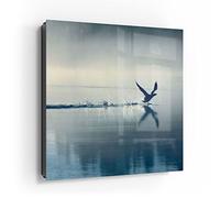 DEQORI Cassetta portachiavi nera, 30 x 30 cm, motivo uccello atterra sull'acqua, in vetro e metallo, con 50 ganci + 2 magneti, moderna scatola magnetica e scrivibile
