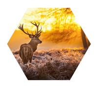 DEQORI Hexagon - Carta da parati autoadesiva da parete, 55 x 47,6 cm, motivo cervo al mattino d'inverno, tela tessile, rimovibile, decorativa e indeformabile, per soggiorno, ufficio, corridoio o