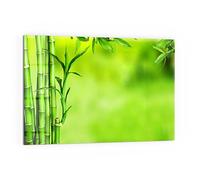 DEQORI Pannello posteriore per cucina in vetro, motivo "cannucce di bambù verde", 60 x 40 cm, pannello posteriore per bagno o stufa, paraspruzzi per cucina e bagno, decorazione moderna per specchio