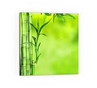 DEQORI Pannello posteriore per cucina in vetro, motivo "cannucce di bambù verde", 60 x 60 cm, pannello posteriore per bagno o stufa, paraspruzzi per cucina e bagno, decorazione moderna per specchio