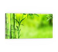 DEQORI Pannello posteriore per cucina in vetro, motivo "cannucce di bambù verde", 80 x 40 cm, pannello posteriore per bagno o stufa, paraspruzzi per cucina e bagno, decorazione moderna per specchio