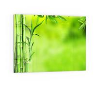 DEQORI Pannello posteriore per cucina in vetro, motivo "cannucce di bambù verde", 80 x 60 cm, pannello posteriore per bagno o stufa, paraspruzzi per cucina e bagno, decorazione moderna per specchio