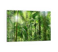 DEQORI Pannello posteriore per cucina in vetro, motivo "centro nella giungla", 60 x 40 cm, pannello posteriore per bagno o stufa, paraspruzzi per cucina e bagno, decorazione moderna per specchio