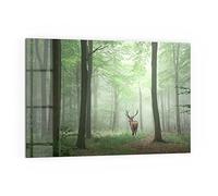 DEQORI Pannello posteriore per cucina in vetro, motivo "cervo tra gli alberi", 60 x 40 cm, pannello posteriore per bagno o stufa, paraspruzzi per cucina e bagno, decorazione moderna per specchio