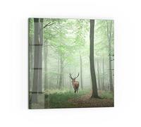 DEQORI Pannello posteriore per cucina in vetro, motivo "cervo tra gli alberi", 60 x 60 cm, pannello posteriore per bagno o stufa, paraspruzzi per cucina e bagno, decorazione moderna per specchio