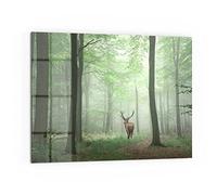 DEQORI Pannello posteriore per cucina in vetro, motivo "cervo tra gli alberi", 80 x 60 cm, pannello posteriore per bagno o stufa, paraspruzzi per cucina e bagno, decorazione moderna per specchio