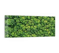 DEQORI Pannello posteriore per cucina in vetro, motivo "corone degli alberi dall'alto", 125 x 50 cm, pannello posteriore per bagno o stufa, paraspruzzi per cucina e bagno, decorazione moderna per
